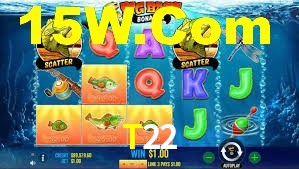 Premium Interface T22